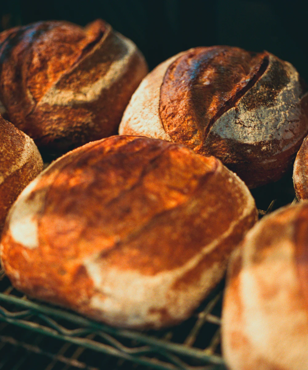 Loaves of bread cooling on a rack